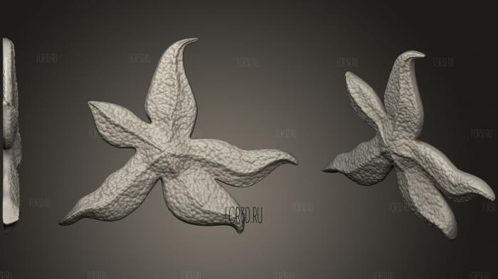 Starfish (2) stl model for CNC